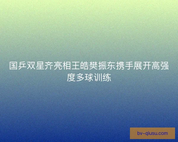 国乒双星齐亮相王皓樊振东携手展开高强度多球训练 国乒双星齐亮相王皓樊振东携手展开高强度多球训练